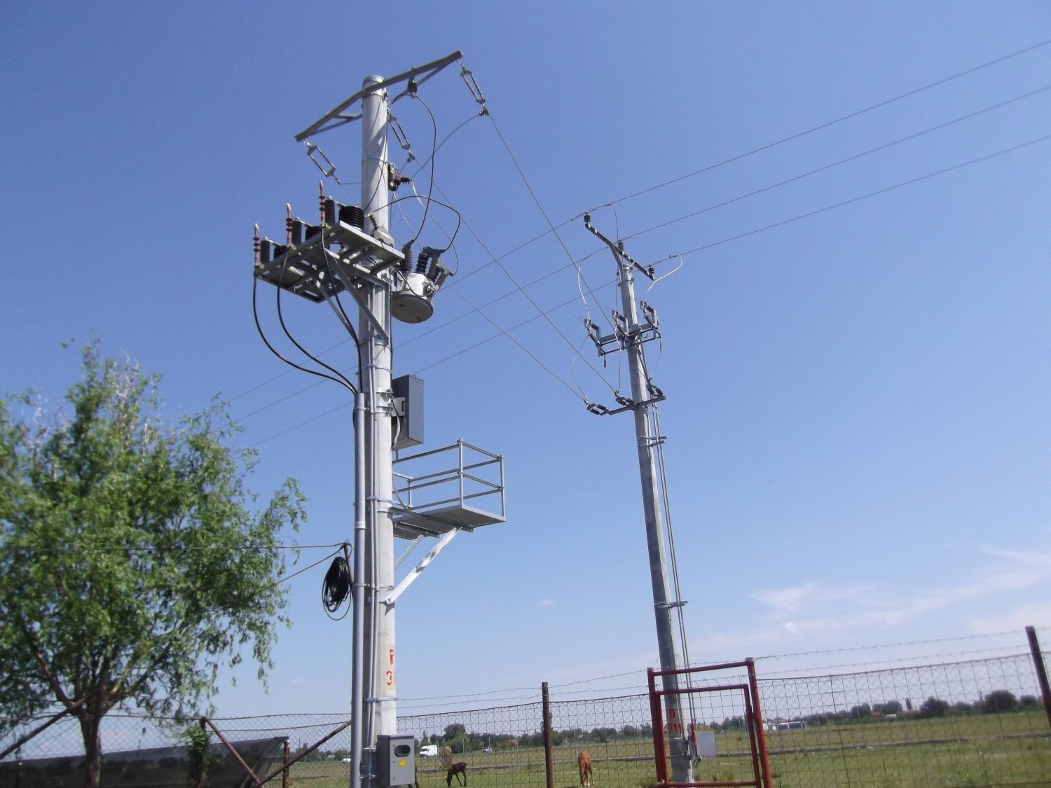 Linie electrică de medie tensiune executată de Comenerg în județul Satu Mare